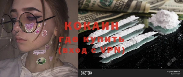 дживик Елизово