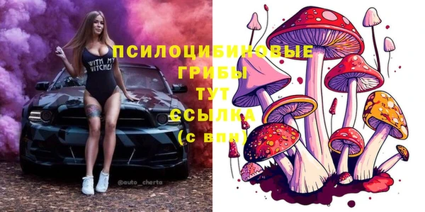 мяу мяу мука Ельня