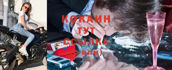 дживик Елизово