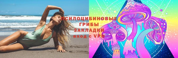 трава Елабуга