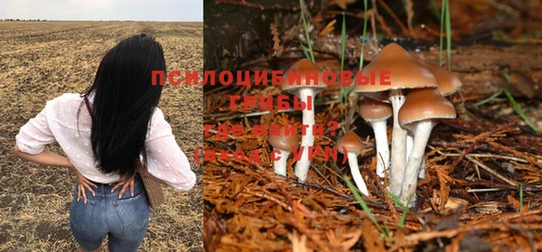 хмурый Заволжск